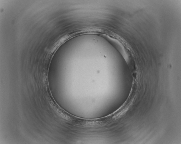 X0000070340985200606301736