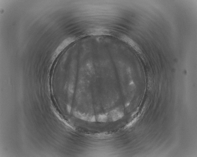 X0000070340986200606301736