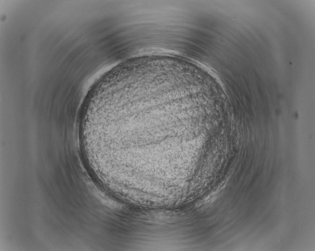 X0000070340987200606301736