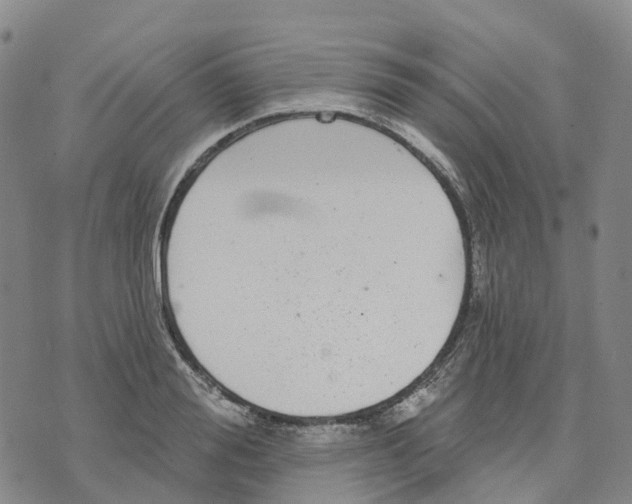 X0000070340988200606301736