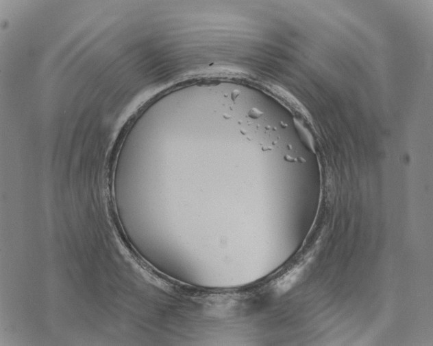 X0000070340989200606301736