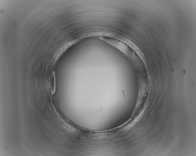 X0000070340993200606301736