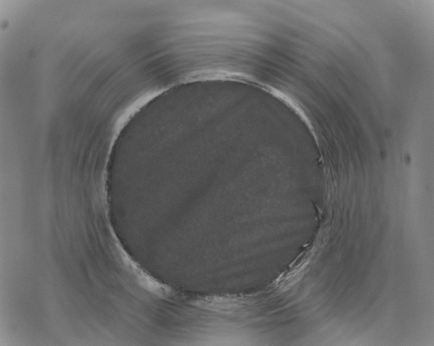 X0000070340995200606301736