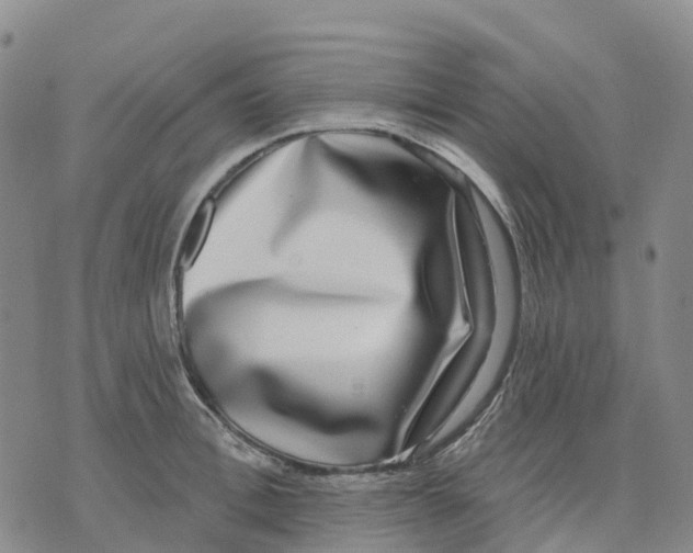 X0000070340996200606301736