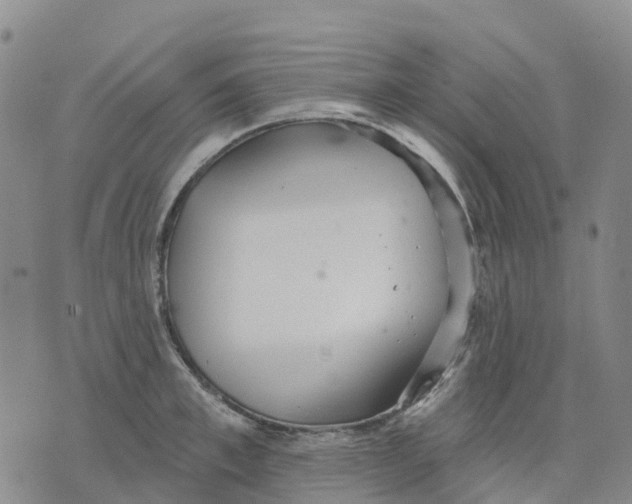 X0000070340997200606301736