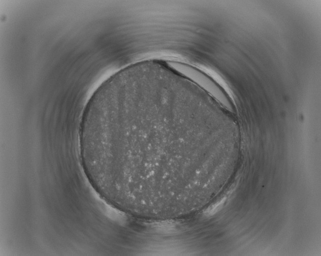 X0000070340999200606301736