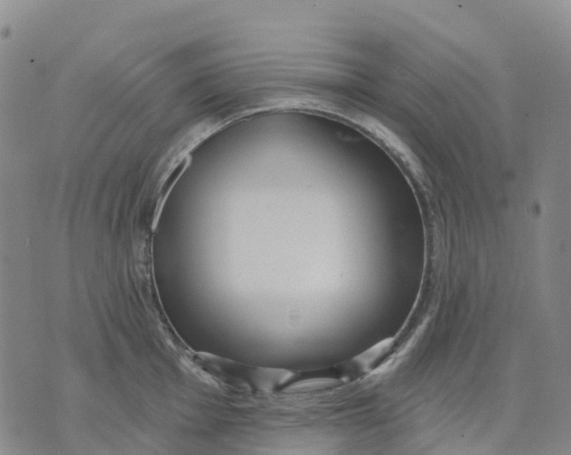 X0000070341001200606301736