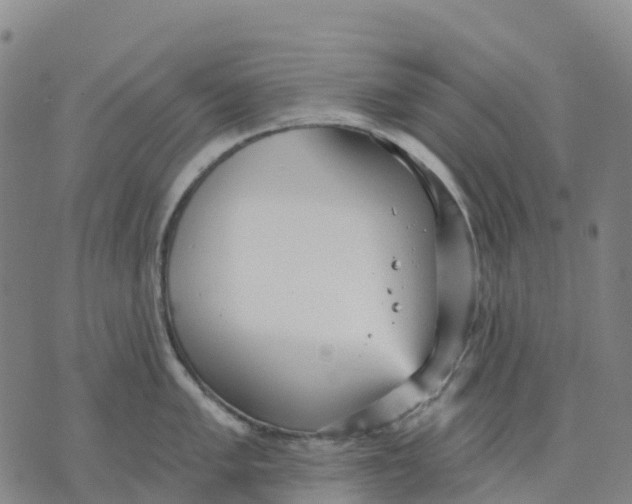 X0000070341005200606301736