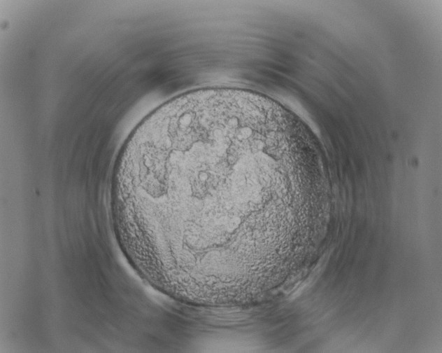 X0000070341007200606301736