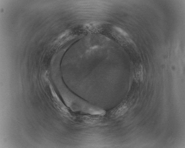 X0000070341010200606301735