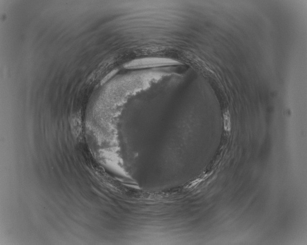 X0000070341011200606301735