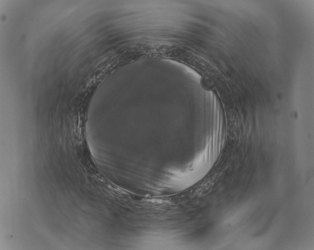 X0000070341013200606301735