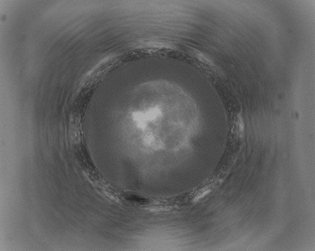 X0000070341014200606301735