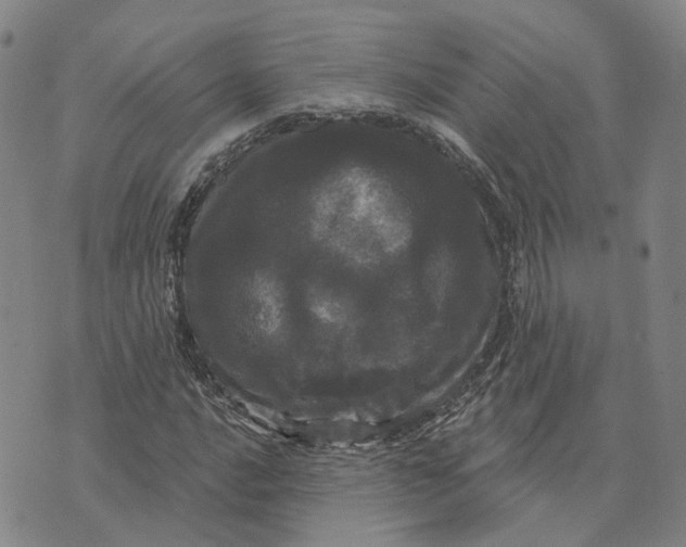 X0000070341016200606301735