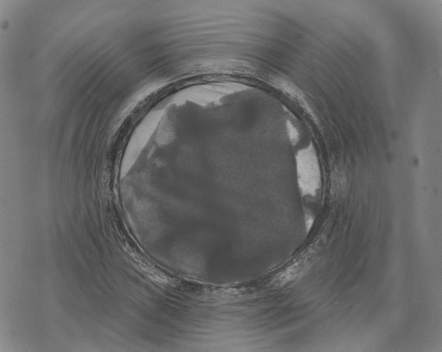 X0000070341019200606301735