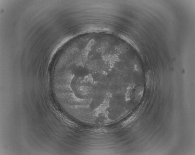 X0000070341021200606301735