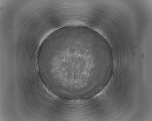 X0000070341022200606301735