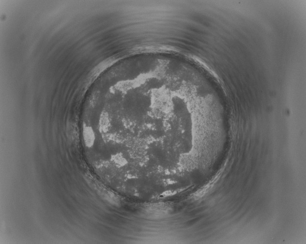 X0000070341025200606301735