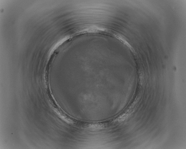 X0000070341026200606301735