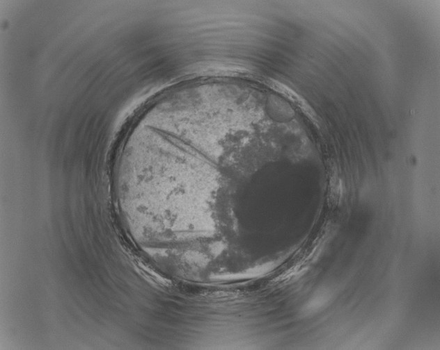 X0000070341027200606301735