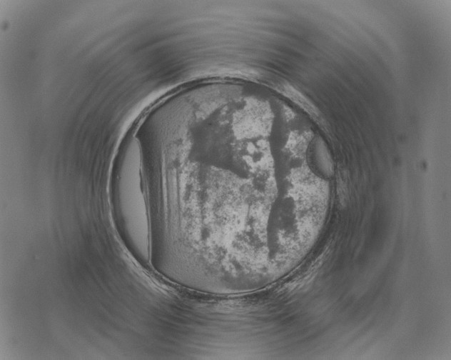 X0000070341028200606301735