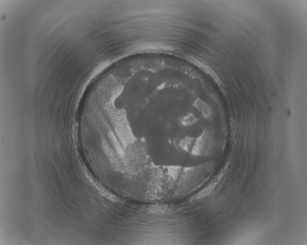 X0000070341029200606301735