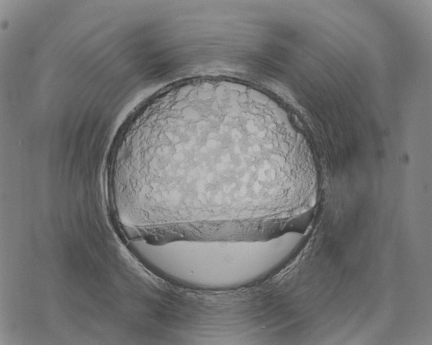 X0000070341032200606301735