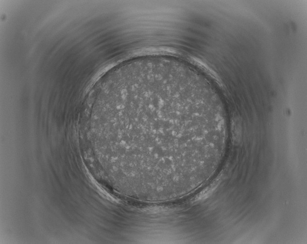 X0000070341033200606301735