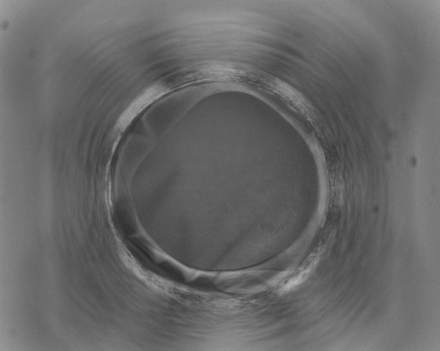 X0000070341034200606301736