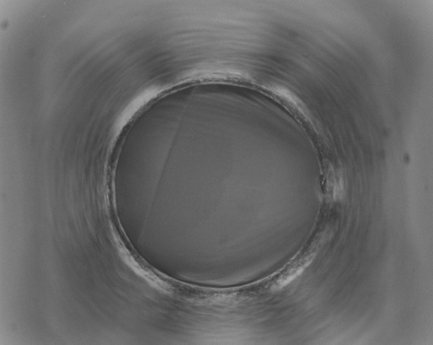 X0000070341038200606301736