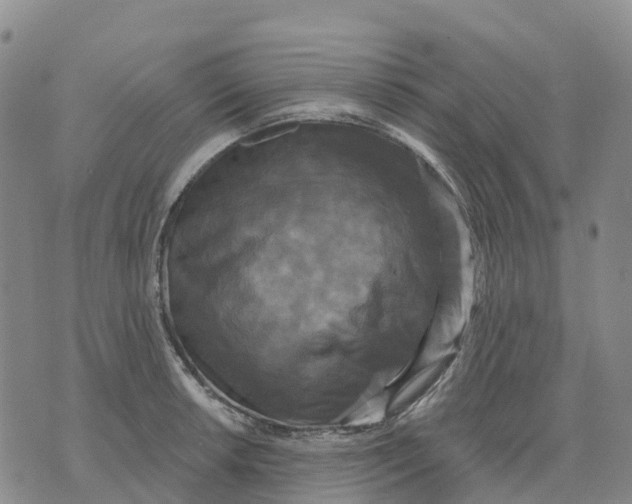 X0000070341042200606301736