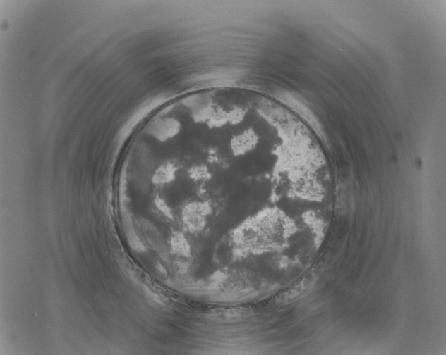 X0000070341051200606301736