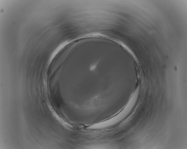 X0000070341054200606301736