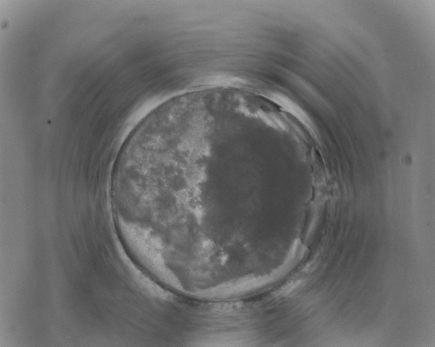 X0000070341055200606301736