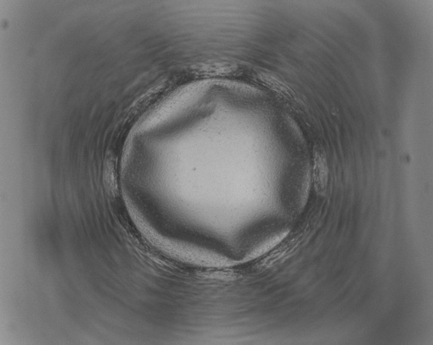 X0000070341058200606301735