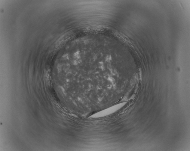 X0000070341059200606301735