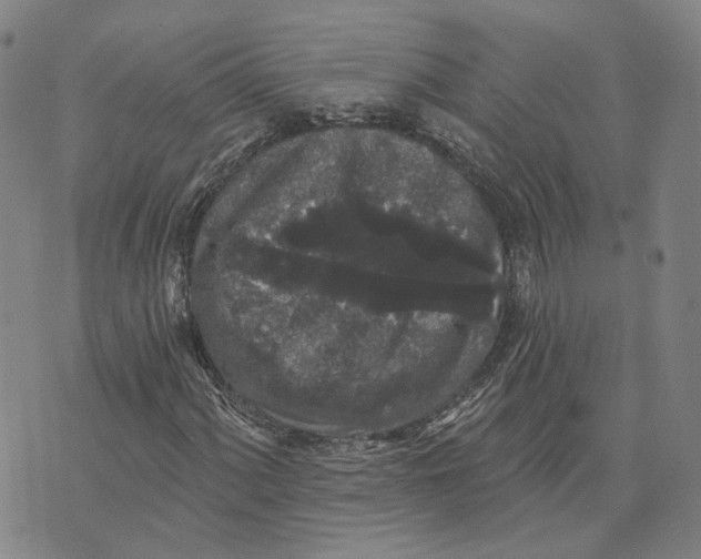 X0000070341060200606301735