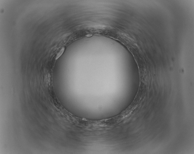 X0000070341061200606301735