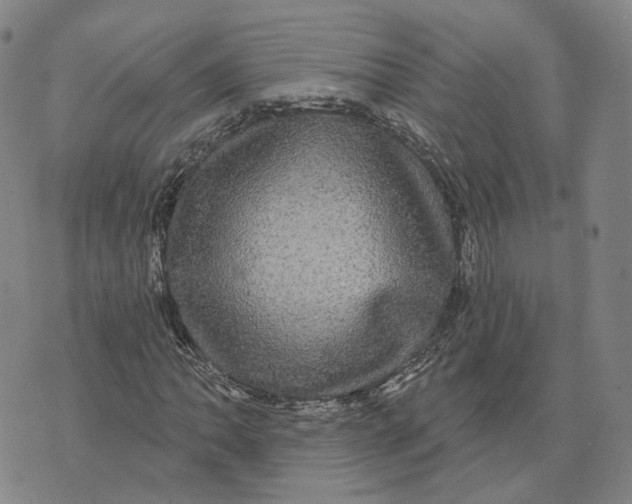 X0000070341062200606301735