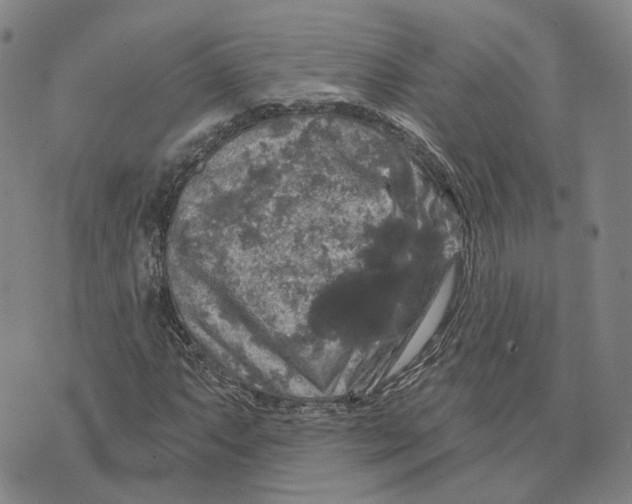 X0000070341063200606301735