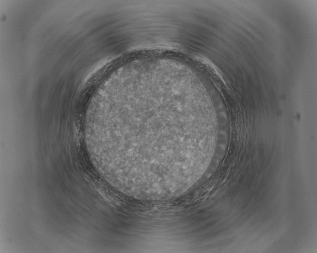 X0000070341064200606301735