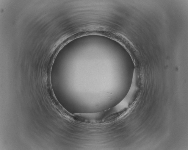 X0000070341065200606301735