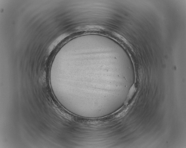 X0000070341066200606301735