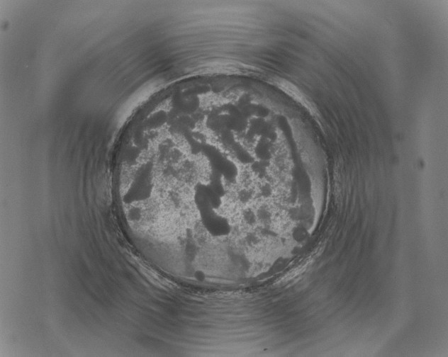 X0000070341067200606301735