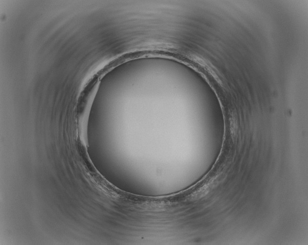 X0000070341069200606301735