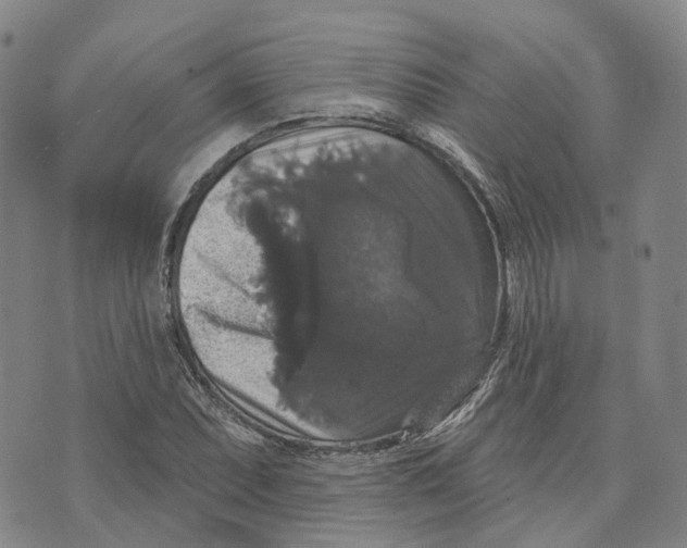 X0000070341071200606301735