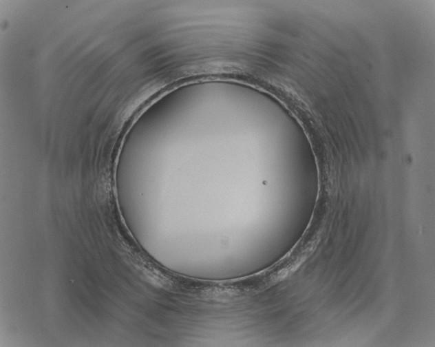 X0000070341073200606301735