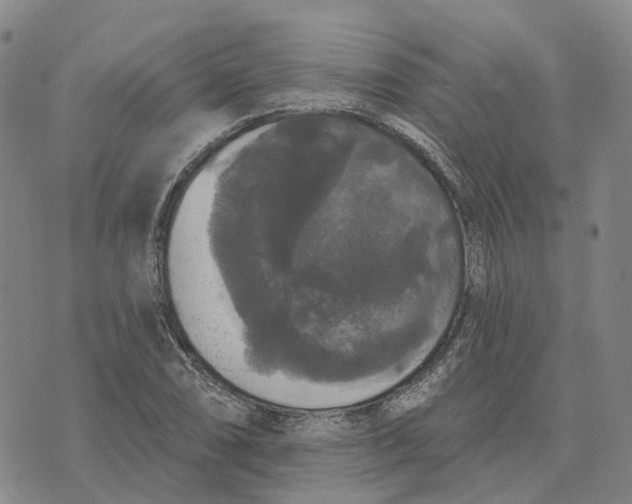 X0000070341074200606301735