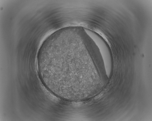 X0000070341080200606301735