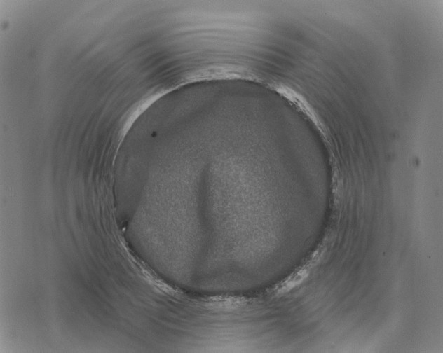 X0000070341081200606301735